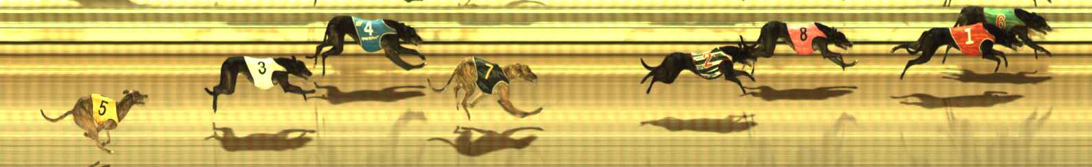 Race result finish photo